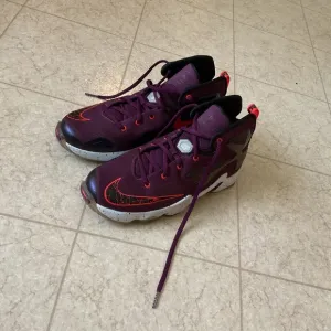 A pair of LeBron Sneakers