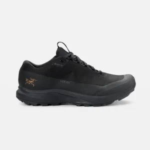 Arc'teryx |  Aerios FL 2 GTX Hiking Shoes