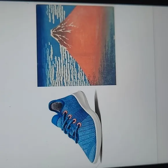 Limited Edition Allbirds The Met 150 Hokusai’s Red Fuji Tree Runners Sneakers