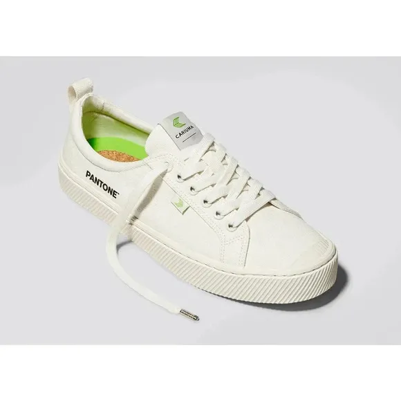 NEW Cariuma OCA Low Lace Up Pantone Canvas Sneakers Snow White Unisex M9.5 W11