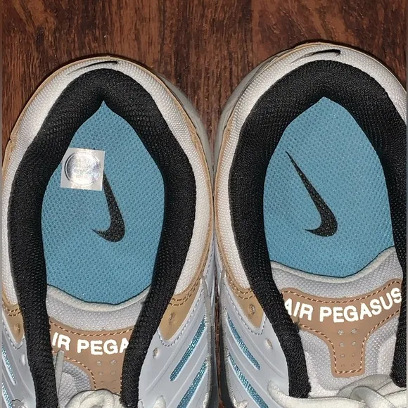 Nike air Pegasus size 10