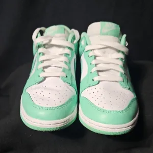 Nike Green Glow Dunks