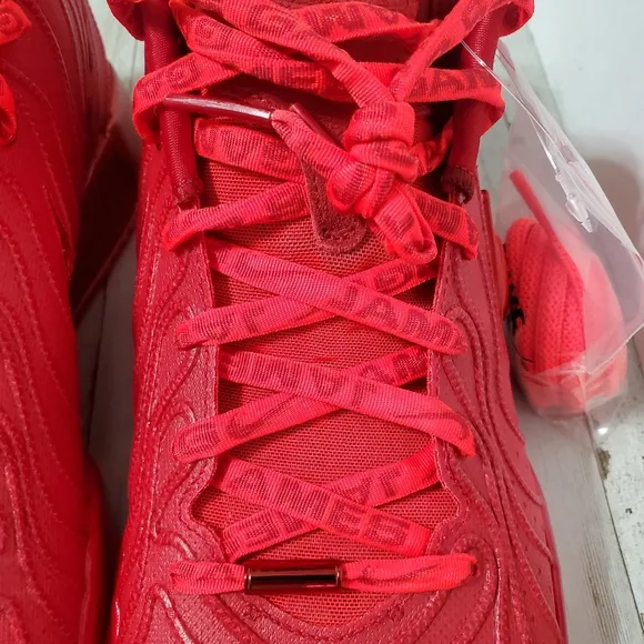 Nike Lebron XXI Bright Crimson Gym Red HF5951-600 Mens Size 11.5 NEW W/O BOX