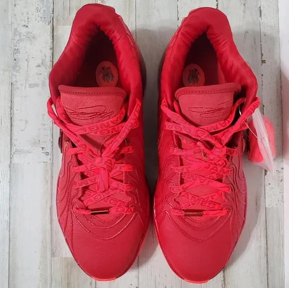 Nike Lebron XXI Bright Crimson Gym Red HF5951-600 Mens Size 11.5 NEW W/O BOX