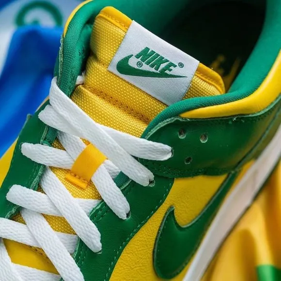 nike sb dunk low pro casual shoes Brazil RJ