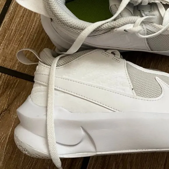 Nike Team Hustle D 10 (Big Kid) | size 5