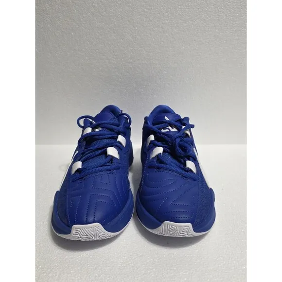 Nike Zoom Freak 5 TB Surfaces Basketball Shoes Game Royal DZ2946-400 Size 5.5
