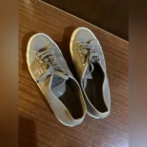 Superga olive Brown Canvas Sneakers