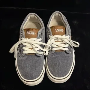 Vans Off The Wall Atwood Canvas Trainers for Men
